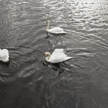 Sheemore View Σπίτι διακοπών