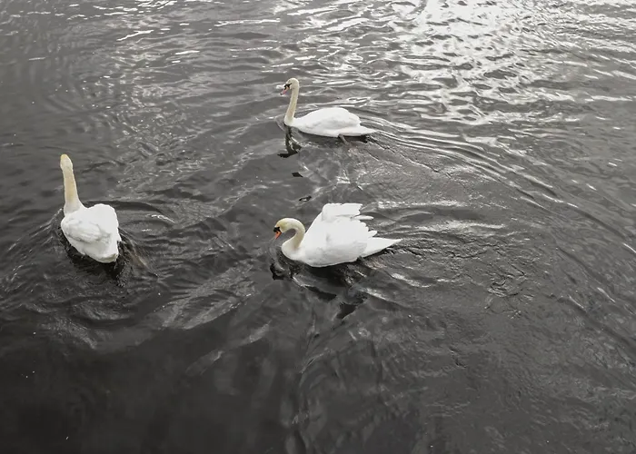 Sheemore View بيت للعطل